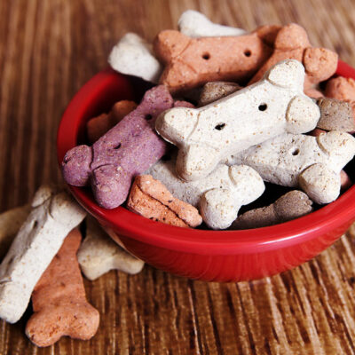 4 Food-Related Tips for Keeping Dogs Healthy