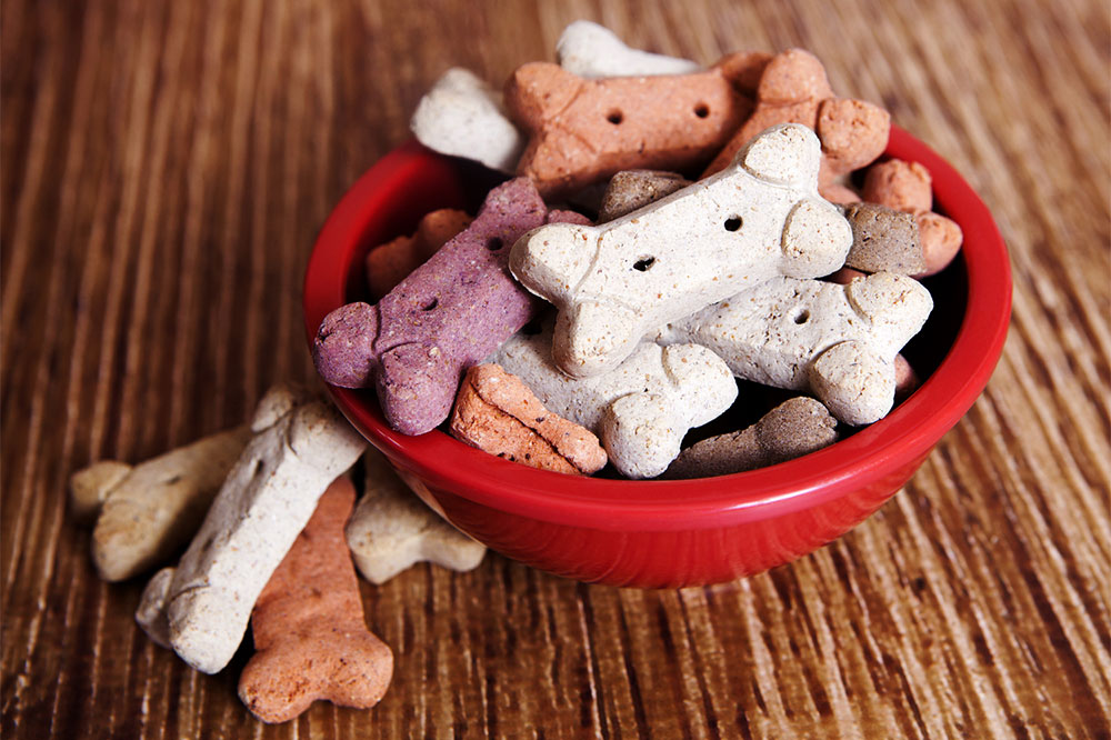 4 Food-Related Tips for Keeping Dogs Healthy